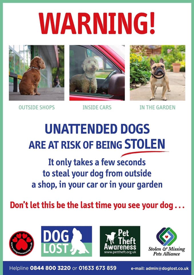 DogLost (@DogLostUK) on Twitter photo 2023-03-15 20:00:01 #PetTheftAwarenessWeek BE AWARE π¨ READ & SHARE π¨ RAISE AWARENESS #STOLEN #DOGS #StolenDog #dogsoftwitter #DogLostUK #PetTheftAwarenessWeek BE AWARE π¨ READ & SHARE π¨ RAISE AWARENESS #STOLEN #DOGS #StolenDog #dogsoftwitter #DogLostUK