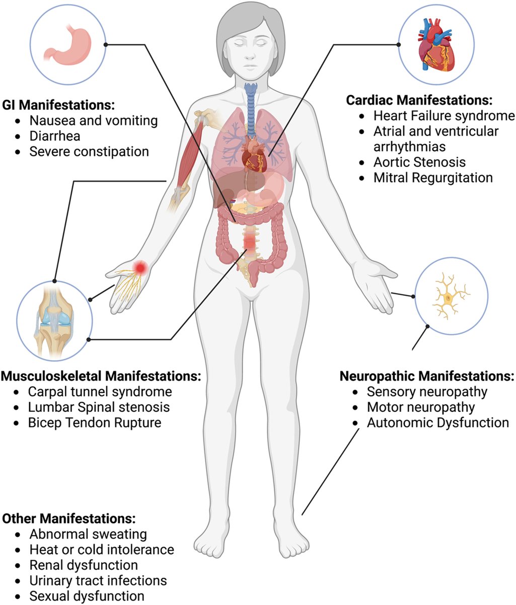 Yevgeniy Brailovsky DO MSc FACC tweet media