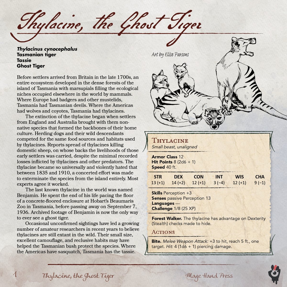 MageHandPress's tweet photo. New Blog Post! ✨
The Thylacine, also known as the Ghost Tiger, has been revived and reimagined for our upcoming project Book of Extinction!
Art for the Ghost Tiger by @Carneiro_RPG , Writing and Research by @SparkOtter
All Alt text available in the blog post, Link Below! https://t.co/Fbe9vdGgjO