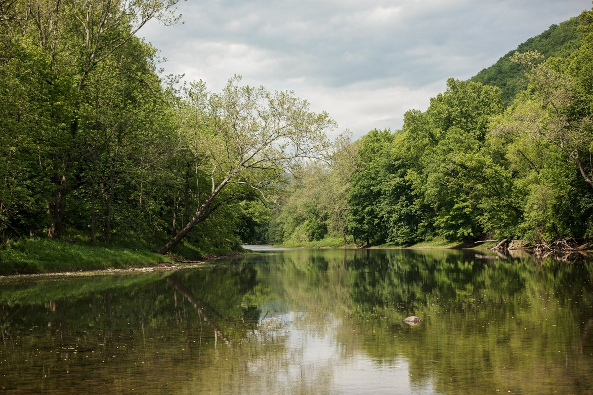 VisitPocahontas's tweet photo. The 2023 WV Gold Rush has begun! Learn more: https://t.co/OoZk4yp1Kp
#VisitNMP https://t.co/9BMnLUhdd2