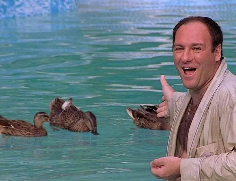 me and the birds on my bird feeder