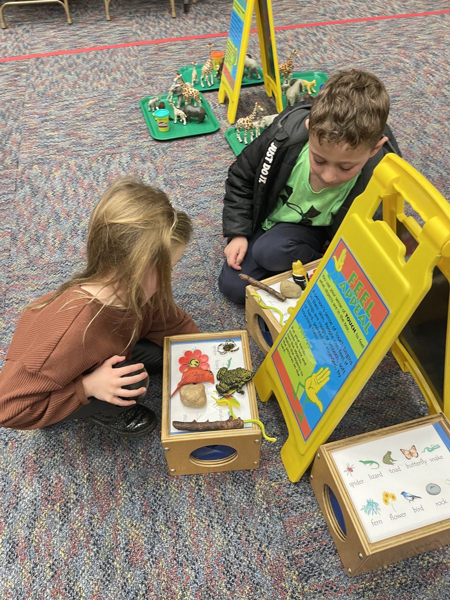 What fun at the Senses Safari! Thanks so much to the Hands on House and especially our PTO for funding this wonderful experience! #happyhillendale