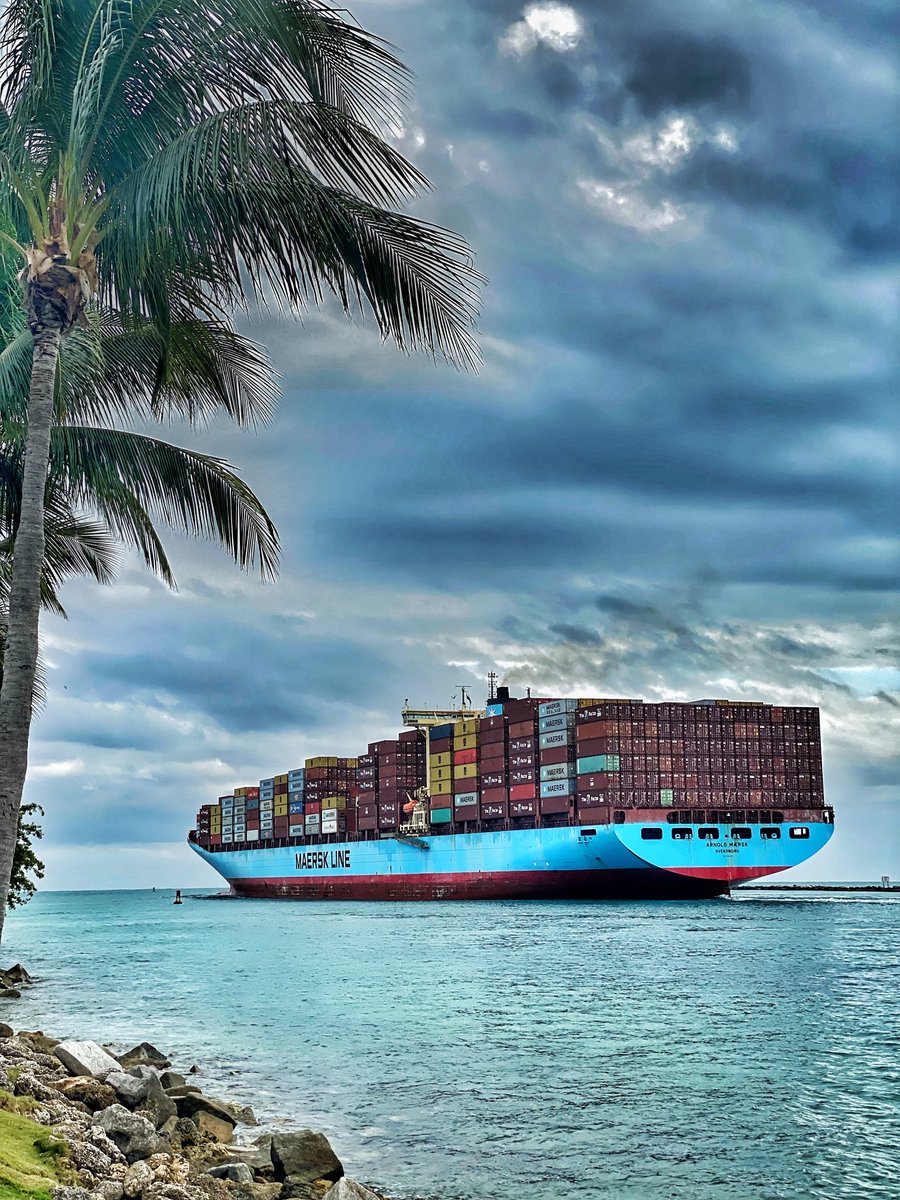 TheVibrarian tweet media