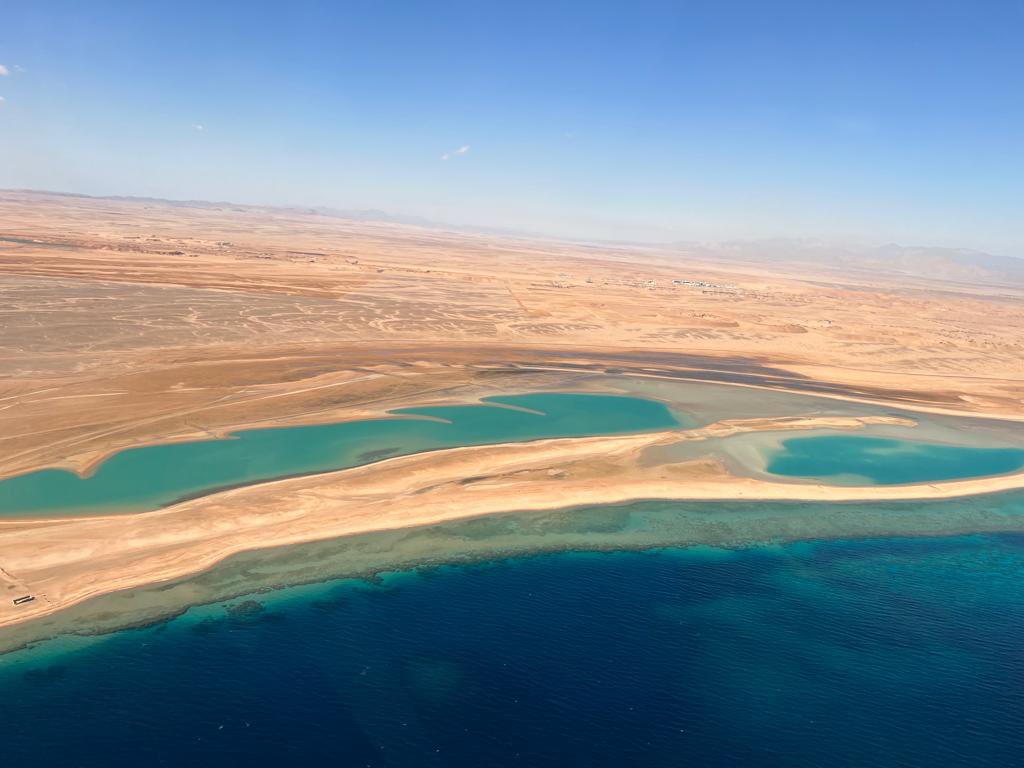 Rise Studios tweet media