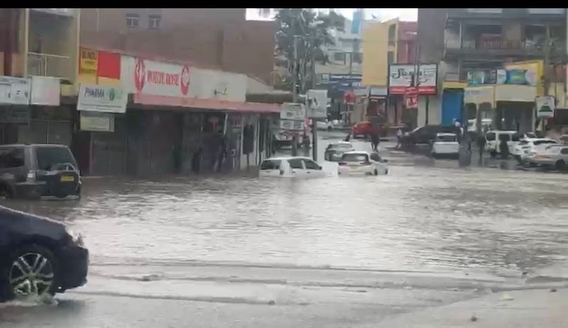 Samantha Lissauer tweet media