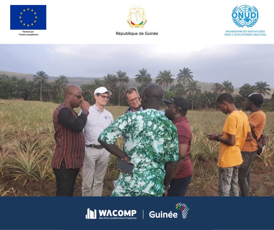 WACOMP_Guinea's tweet photo. #wacomp📍 Kindia
Ce 15/03, des membres de l’équipe #refila ont rencontrés plusieurs acteurs de la filière 🍍. Parmi eux, les responsables d’@enabelenguinee, les cadres de l’usine Tropicaux et le Président de la Fédération des fruits de la Basse Guinée
💶 @UEenguinee ⚙️@UNIDO https://t.co/r2xP74TNrO