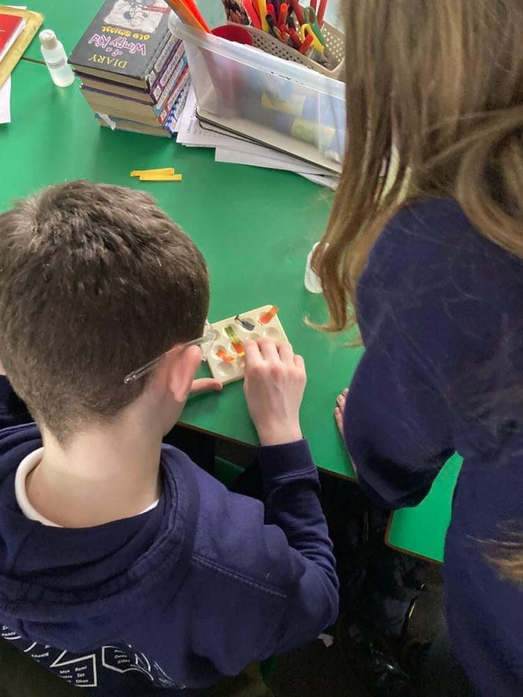 StKentsSci's tweet photo. Todays @YoungSTEMLeader update: We saw young learners in @wlstmarysbath looking at the pH of everyday substances and knocking it out the park π #transitions #youngstemleaders #scientistsoftomorrow https://t.co/Quc5asHDiw