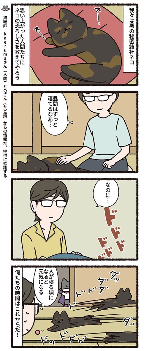 悪の秘密結社ネコ その164
#悪の秘密結社ネコ 