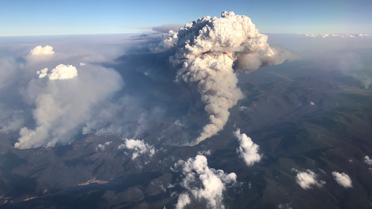 CaraSantaMaria's tweet photo. Here's how wildfires deplete the Earth’s ozone layer. 💨

#OzoneLayer #Wildfires #Smoke #Stratosphere #Environment #ChemicalReactions 

https://t.co/2VkEqWRxGR via @ScienceNews https://t.co/QjfGpxtj9c