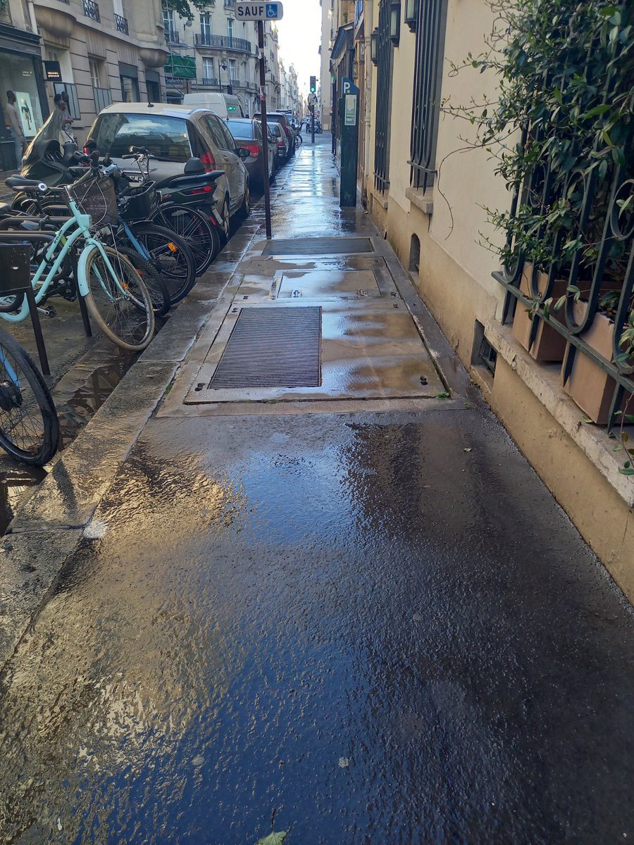 Au quotidien je veille à la #propreté de #Paris7 &amp; à la collecte des #déchets. Suite à la #manif de ce jour, des tags ont été relevés sur le parcours. A ma demande, ils seront nettoyés sous 24h. Comme toujours, je suis à votre disposition à tout moment pour la bonne tenue du 7ème