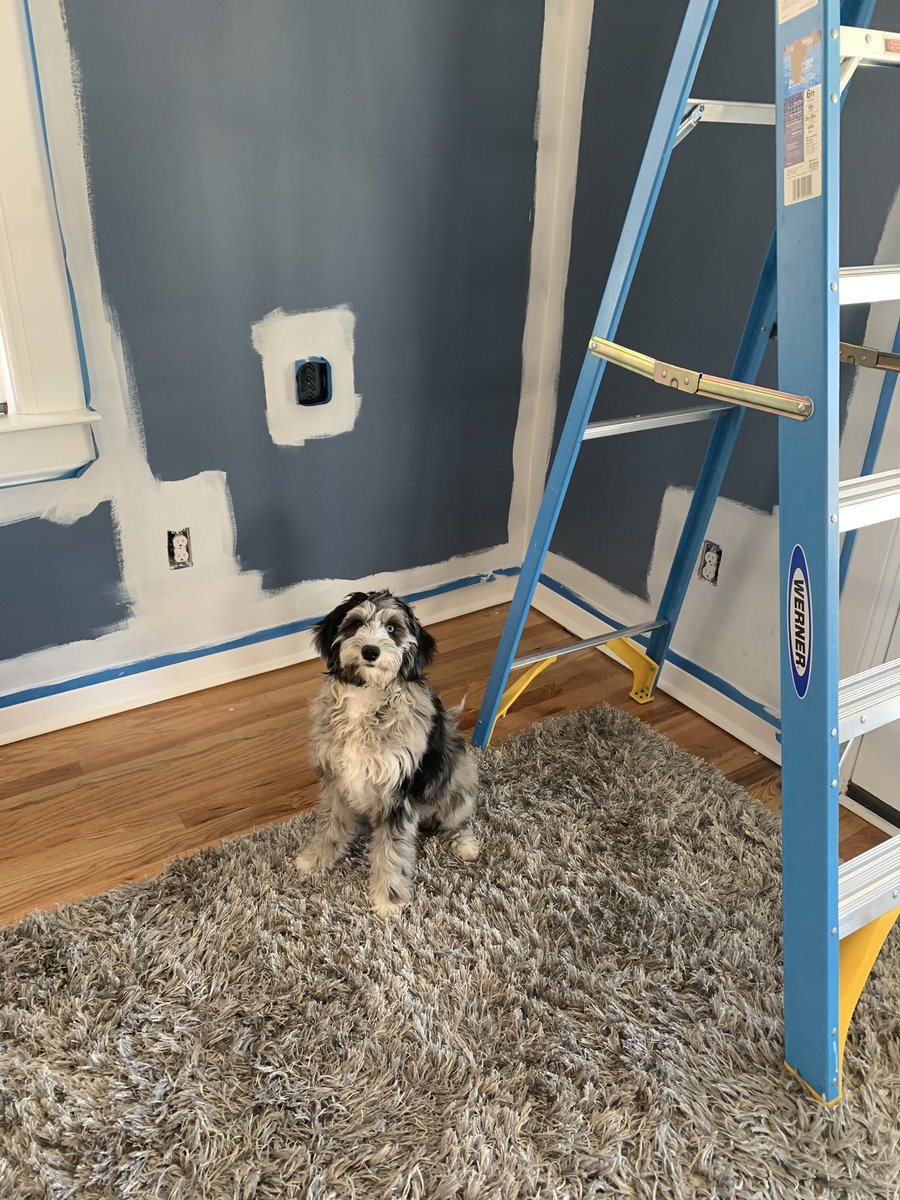 Katie Strom tweet media