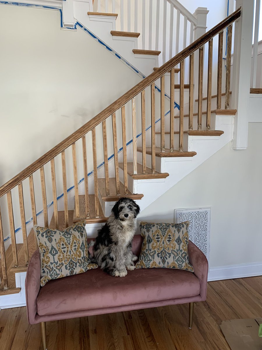 Katie Strom tweet media