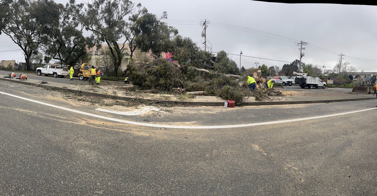 KCRTTelevision's tweet photo. Yesterday's wind & storm brought down many #trees in #RichmondCA. Some images from 19th, Wiswall Dr, Moran Dr, Hilltop Rd & Richmond Marina Bay. For any city park or tree issues, residents can call Police non-emergency 510-233-1214 & dispatchers will contact staff.
#downedtree https://t.co/69xxvdStre