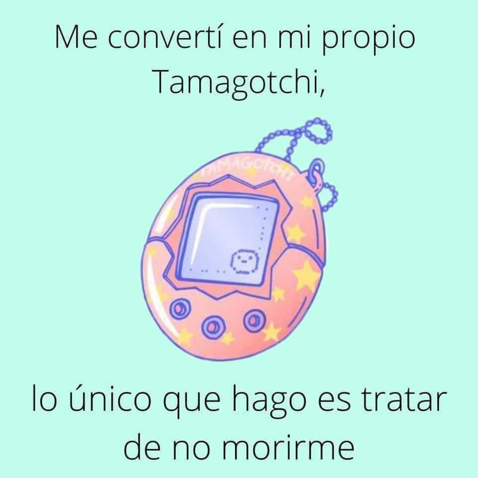 ArziBh's tweet image. A yes... la vida de adulto está cool haha