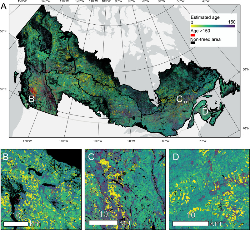 📢NEW PAPER! Estimating and mapping forest age across Canada's forested ecosystems

📖#OpenAccess: doi.org/10.1016/j.rse.…
✍️ @James_Maltman_1, <a href="/txominhermos/">Txomin Hermosilla</a>, <a href="/mikewulder/">Mike Wulder</a>, N Coops, <a href="/Joanne_C_White/">Dr. Joanne C. White</a>
 
💰 @NRCAN #NTEMS <a href="/NSERC_CRSNG/">NSERC / CRSNG</a>
 
Highlights in🧵
@ubcforestry #remotesensing