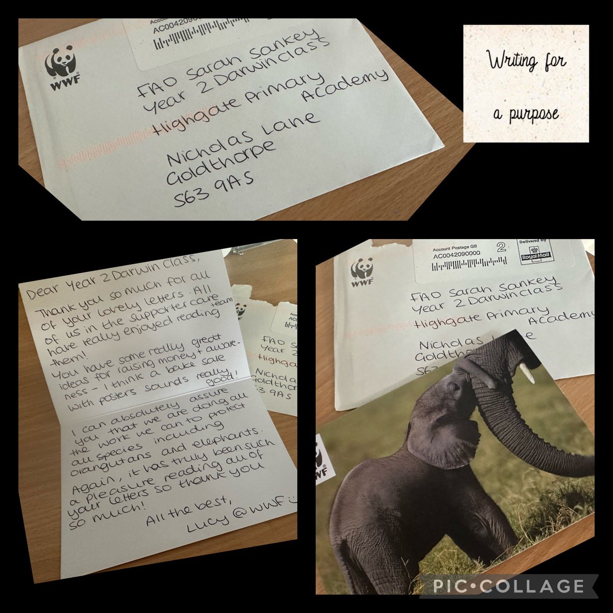 Highgateacademy's tweet photo. A huge thank you to Lucy from @wwf_uk for taking the time to reply to Darwin Class. We were very excited to receive your reply to our letters in the post today and absolutely loved the elephant card. #writingwithapurpose https://t.co/ADaNhg4FIY