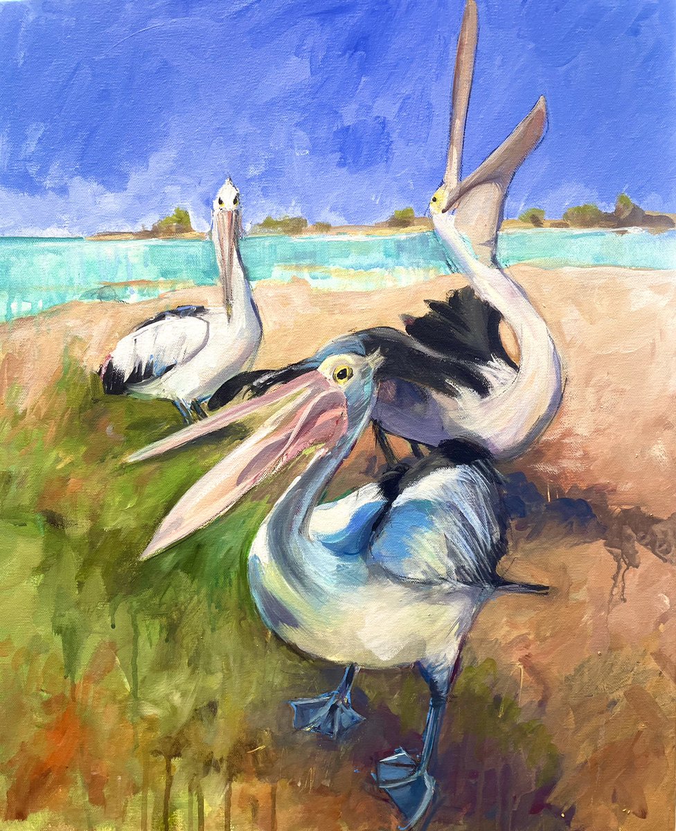 julsart's tweet photo. Where we roam exhibition this coming April #pelicans #mixedmediapainting #kalbarri #westernaustralia #paintingfromsketches https://t.co/cadG4hLuyI