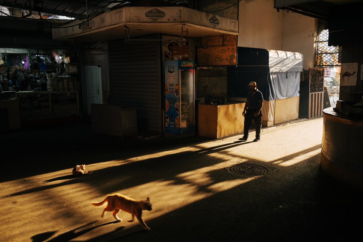 Jonathan Bertin tweet media