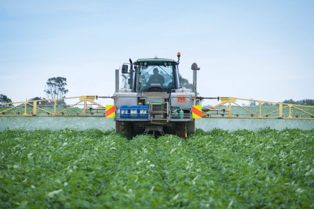 #Thrips (Thysanoptera) are major #insect pests in primary production systems. <a href="/Bugologists/">Insect Ecology NZ</a> &amp; <a href="/plantandfood/">Plant & Food Research</a> engineers are developing an innovative system to deliver targeted selective pesticides while only using a fraction of active ingredients compared to spraying 🌻