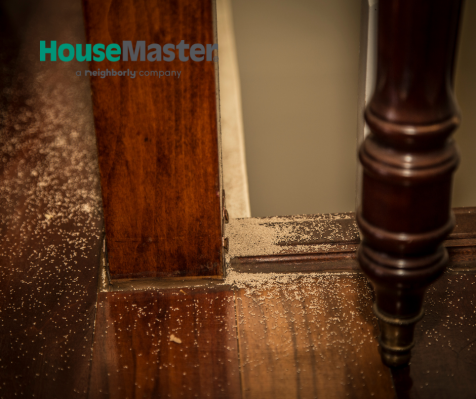 MYHouseMaster's tweet photo. Termites can do significant damage to homes, and they often go unnoticed by homeowners until extensive damage is done. If you live in an area where termites thrive, have a professional termite inspection done annually.

 #TermiteAwarenessWeek #termiteweek #WDO #homeinspection https://t.co/FTuA44k0DD