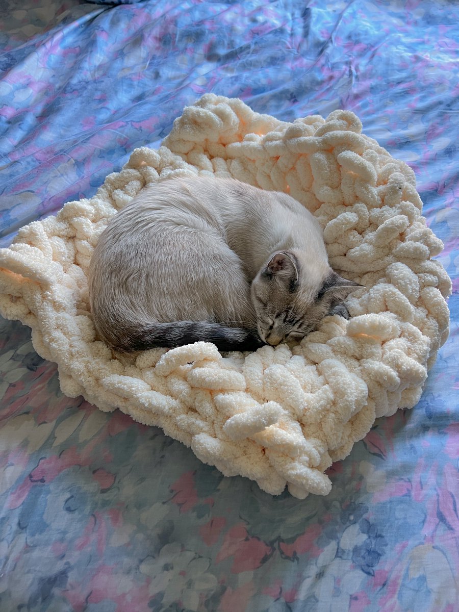 erin🫧 on Twitter "I crocheted another blanket today and used the