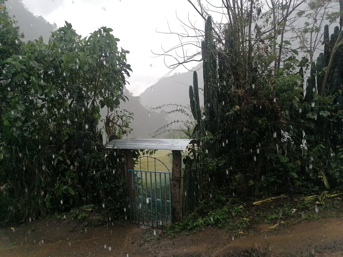 Uinder_lei's tweet photo. El placer de mirar por la ventana mientras llueve es ver a los que pasan mojados. 😁 https://t.co/KJ8hV7fHRA