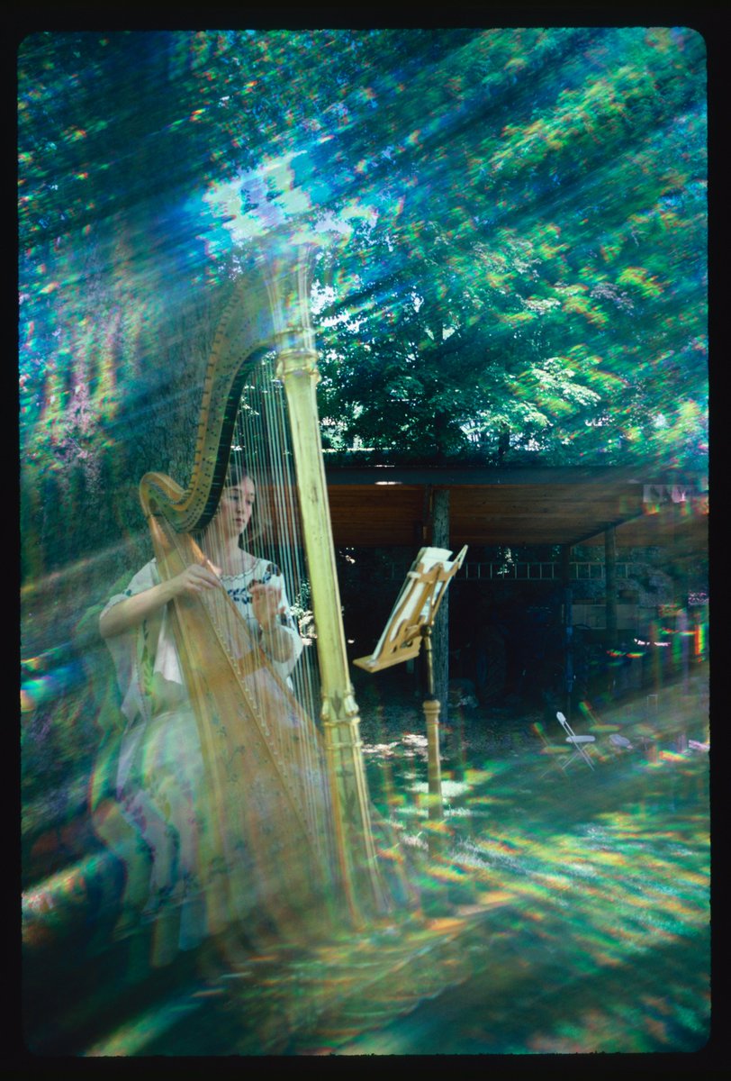 The Digital Archive tweet media