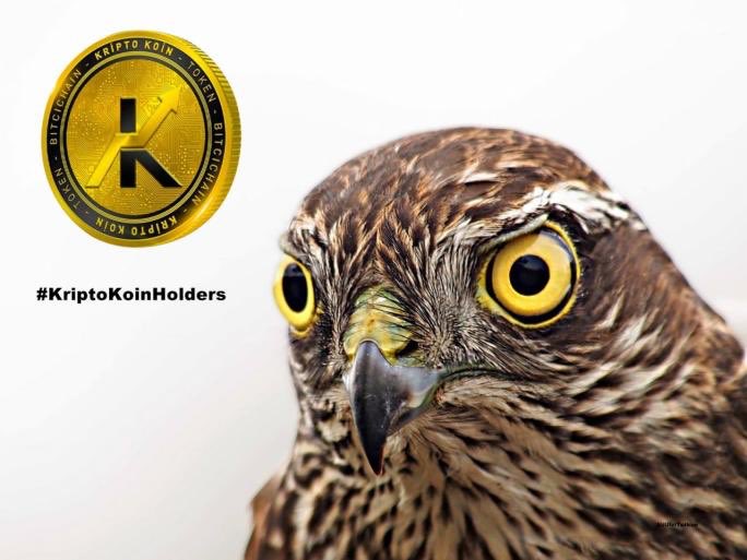 <a href="/purpledudenft/">PurpleDude</a> <a href="/barn32617803/">Kürşat</a> #KriptoKoin