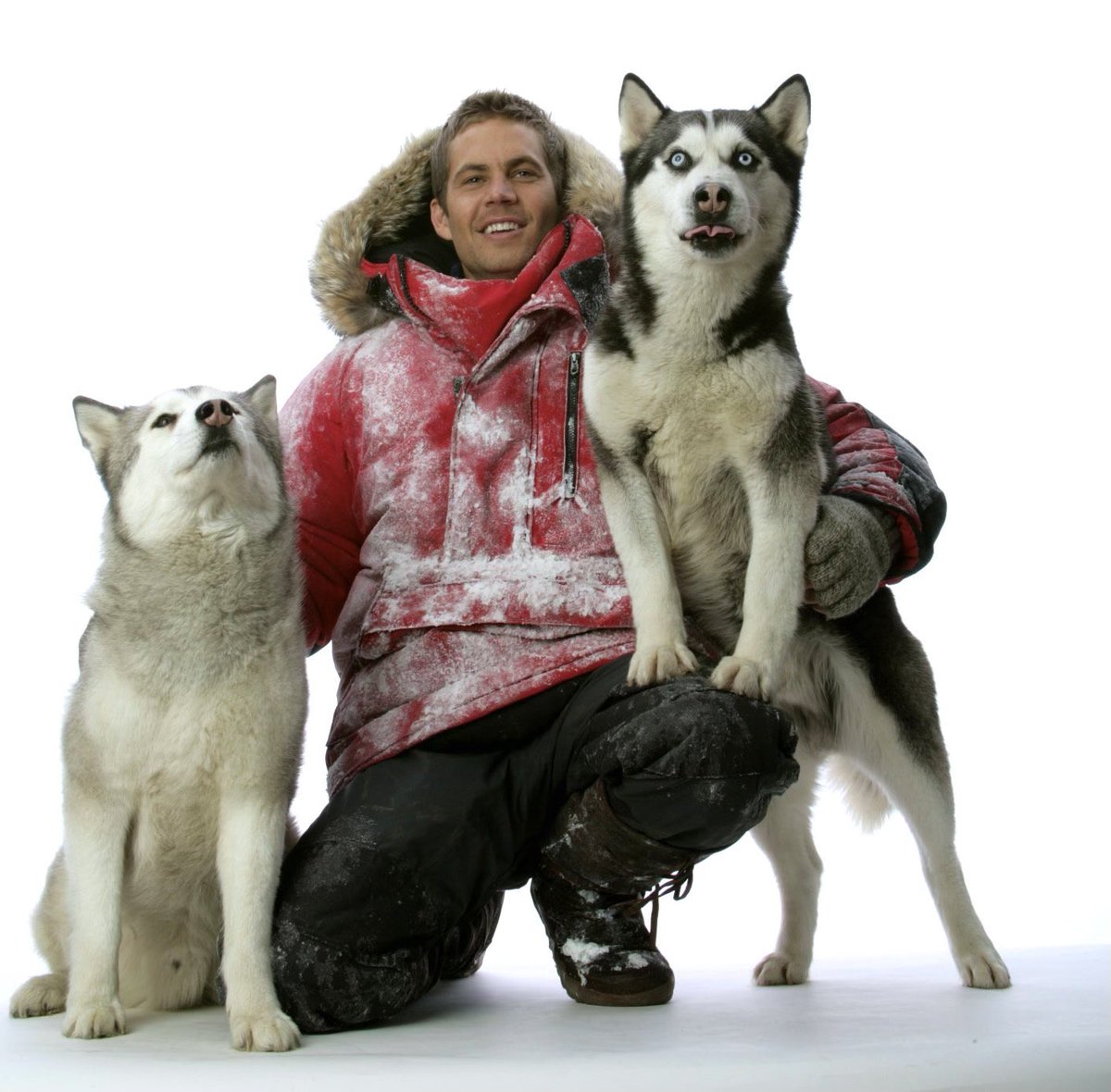 “These dogs are my family.” - Jerry Shepard 
#EightBelow #TeamPW