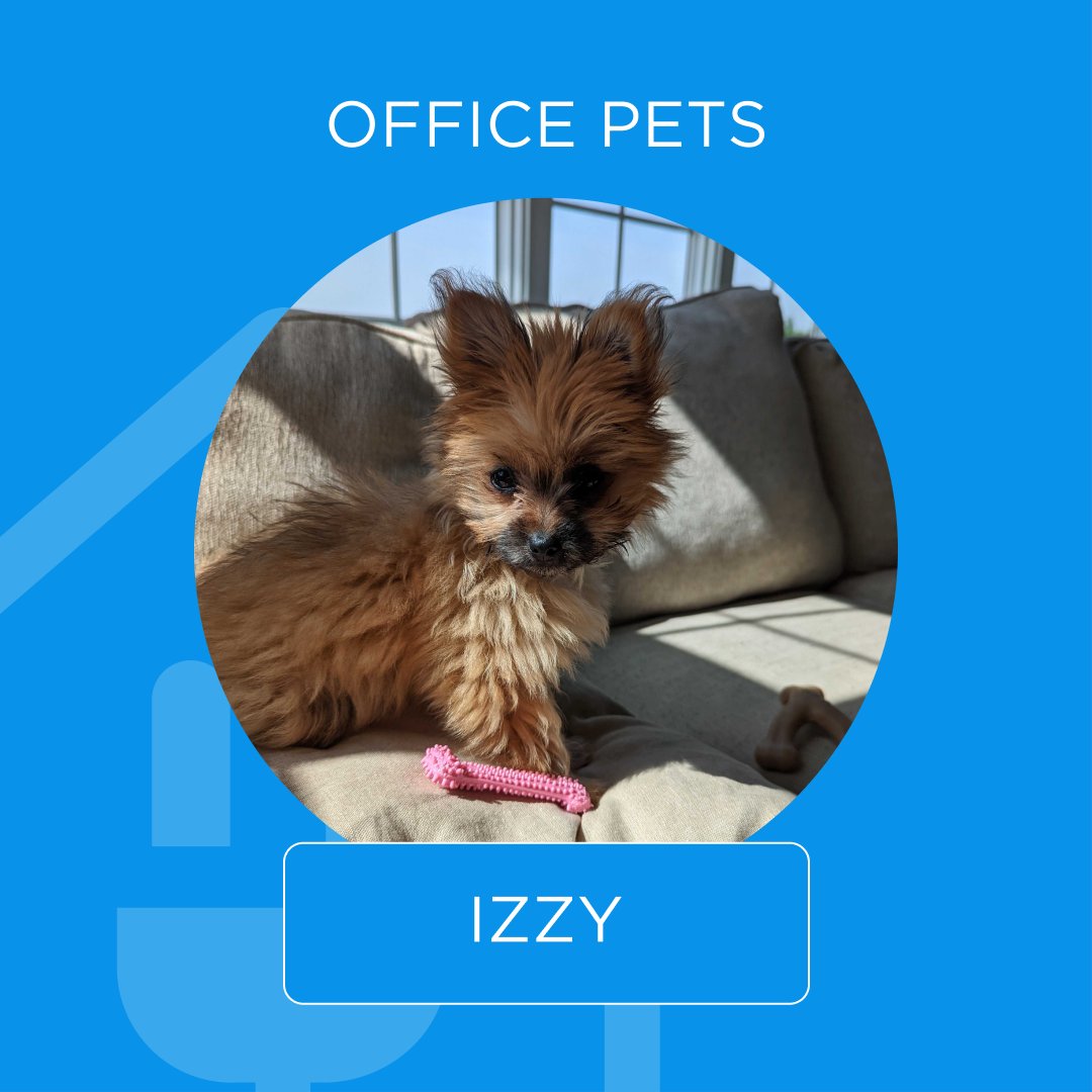 HelloTech's tweet image. Have a paw-fect day!🐶