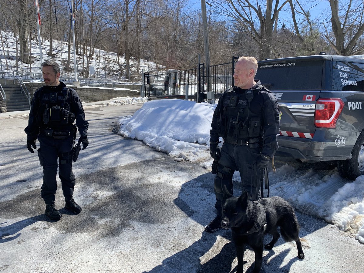 Jane Stevenson tweet media