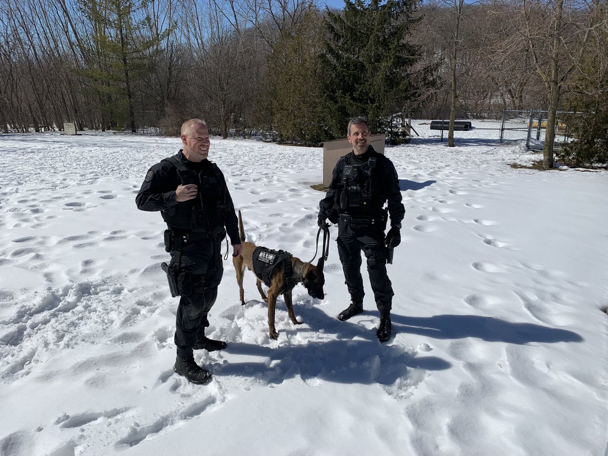 Jane Stevenson tweet media