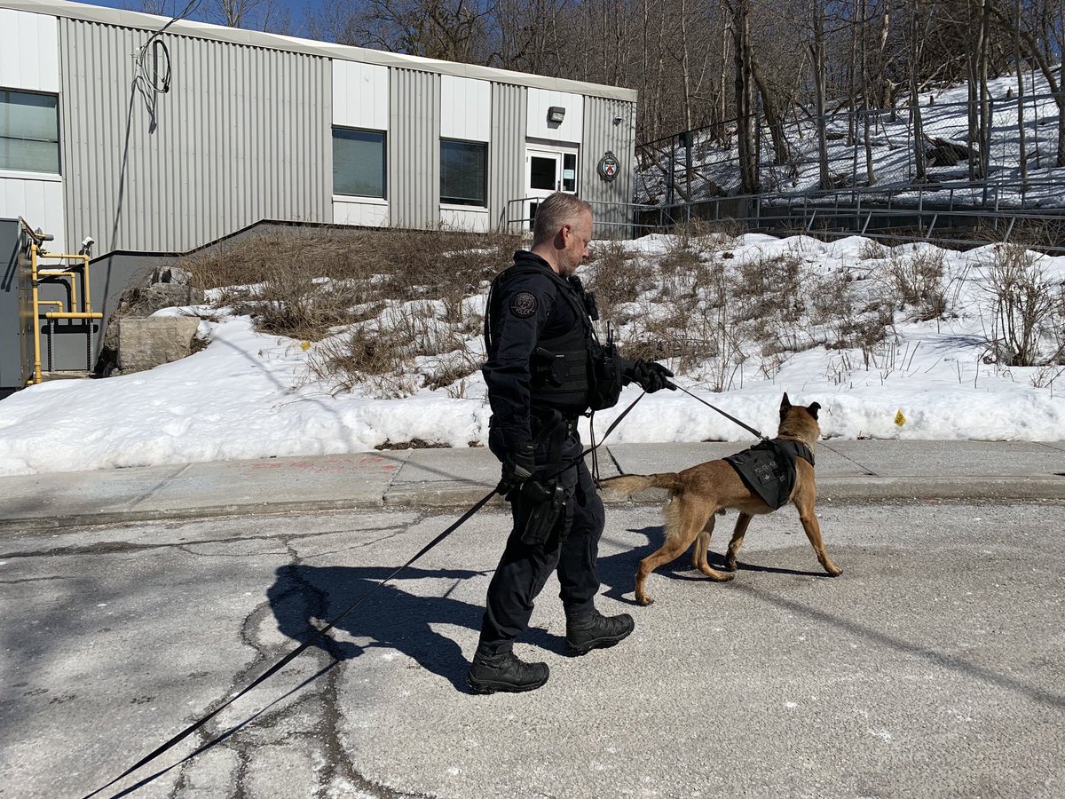 Jane Stevenson tweet media