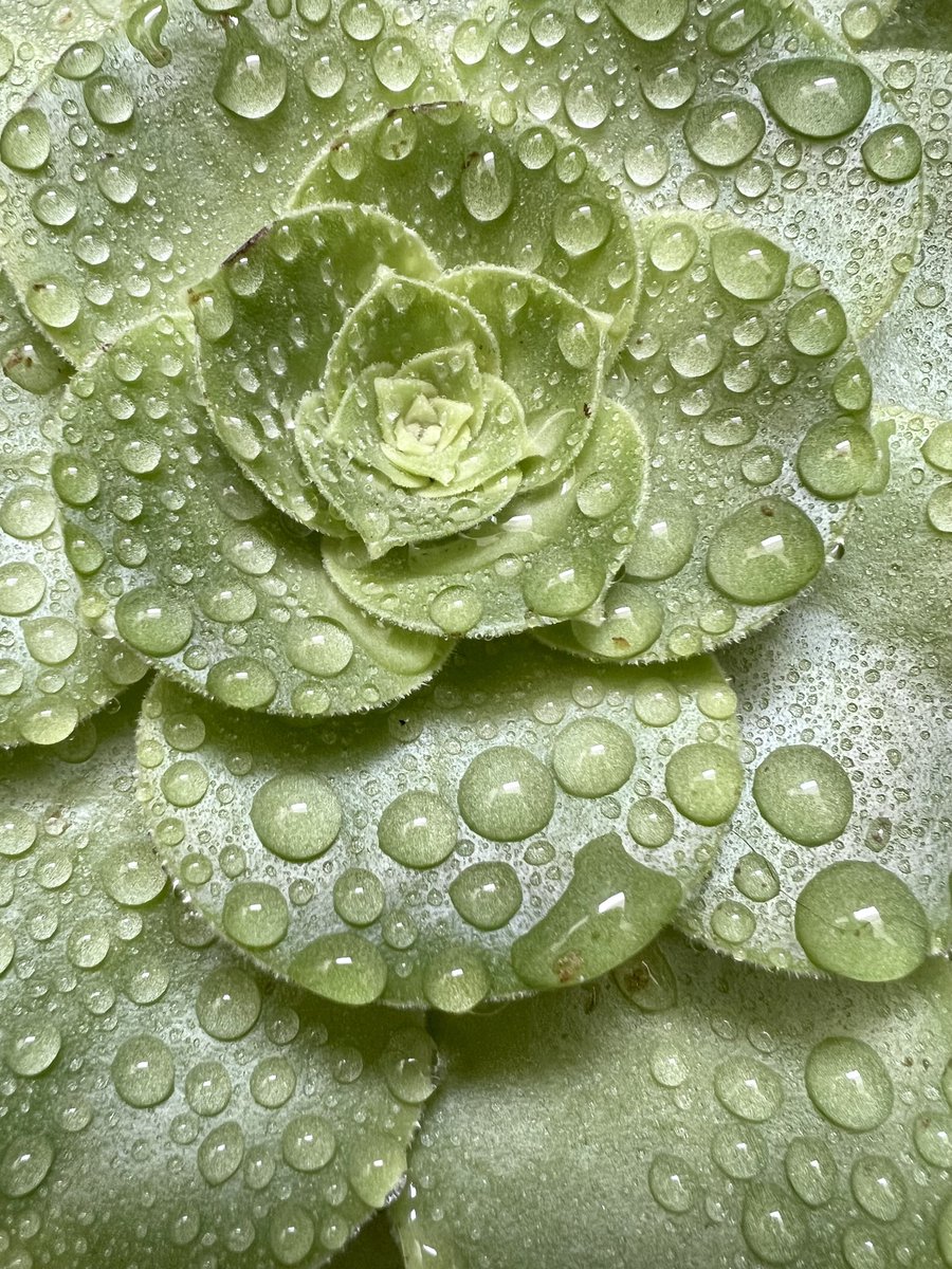 JennBazilius's tweet photo. Another beautiful rainy day in SoCal. https://t.co/tDe74aDyC0