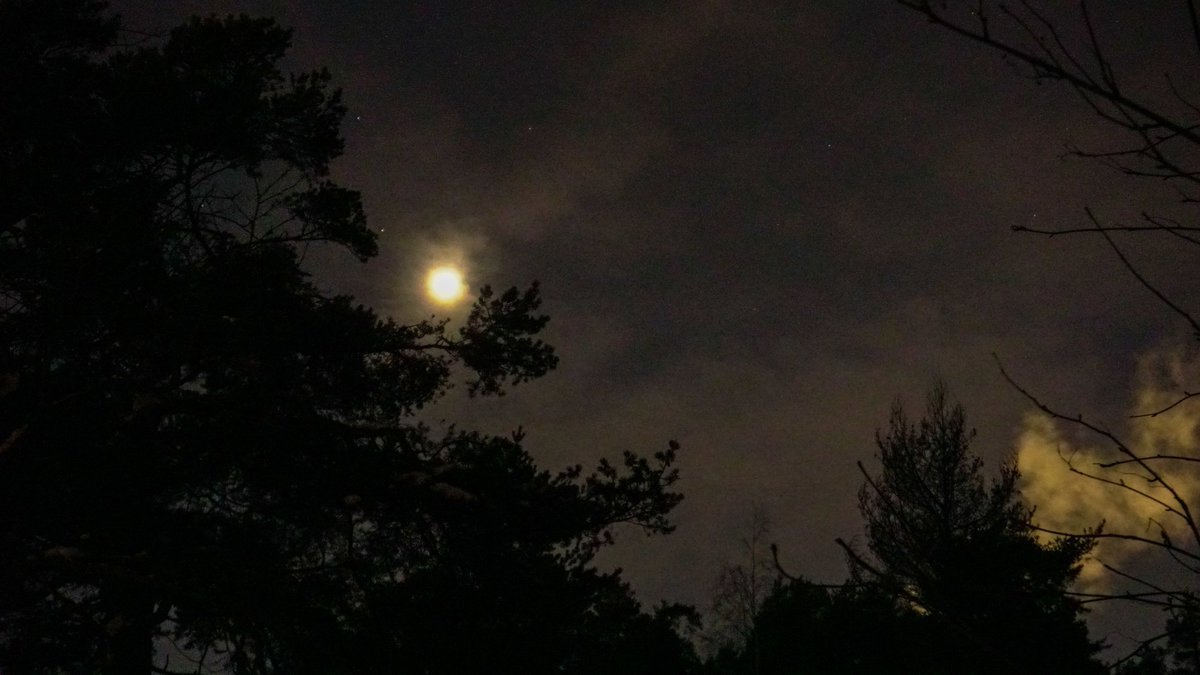Lomeanor's tweet photo. Está un poco tímida esta noche 🌖🌗🌘🌑🌒🌓🌔 https://t.co/DRCsGc3ed0