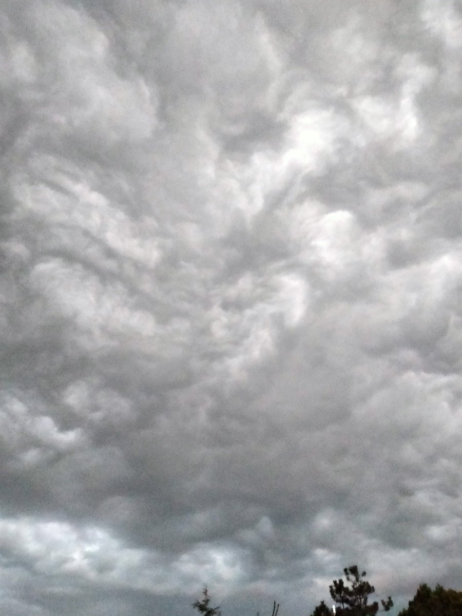 Tiuccia's tweet image. Aspettando i dissennatori.
#springtimevibes #harrypottermood