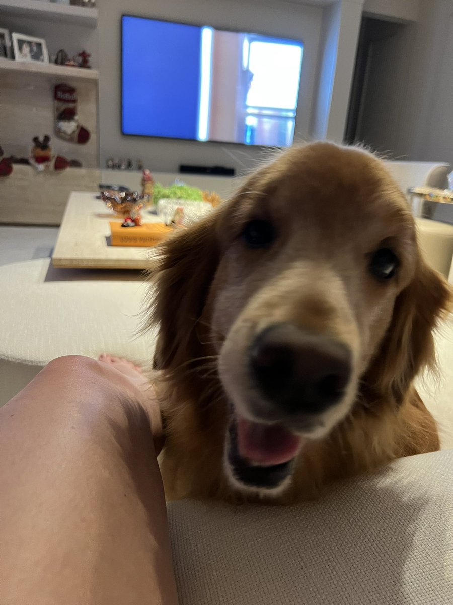 fromtif's tweet photo. 🐶💜 missing my babe a little extra today 🥺 https://t.co/PpPE2enwAU