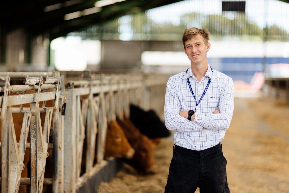 Stabiliser Cattle Co tweet media