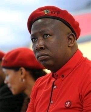MDNnewss's tweet photo. Taxi Bosses warn Malema.

The SA National Taxi Council (SANTACO) refuses to participate in the EFF's planned shutdown on Monday, saying that "the economy is already messed up and we don't want to be adding more fuel to the fire".

#NationalShutdown #EFFNationalShutdown https://t.co/OGlB9Yo3oM