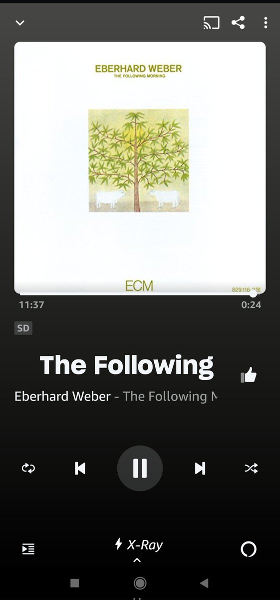 psicofonia33's tweet image. #sonando