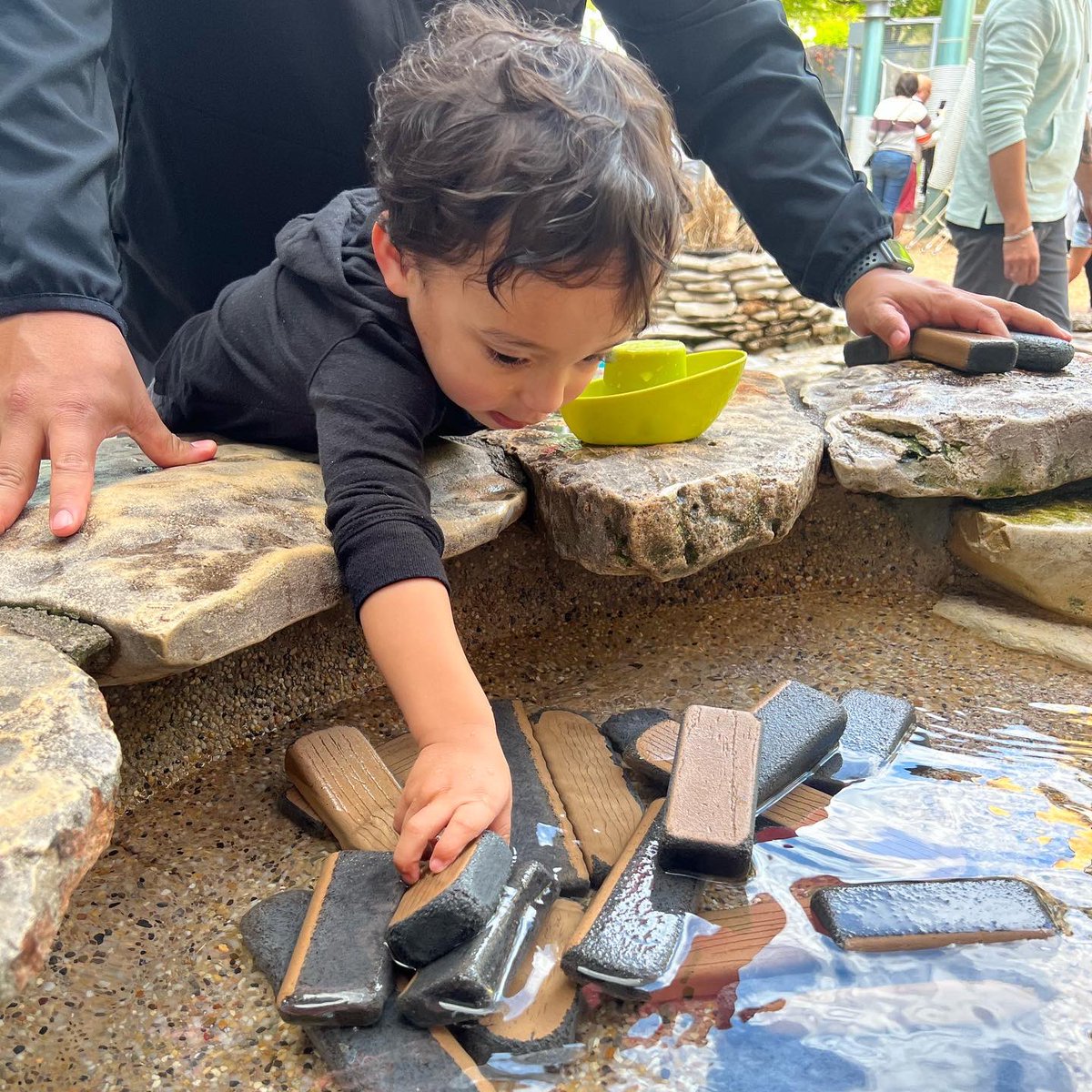 Dr. Guadalupe Garcia tweet media