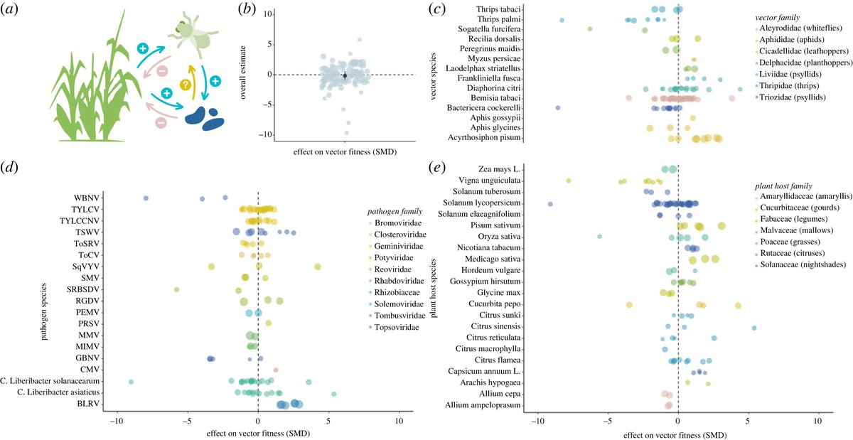 Royal Society Publishing (@rsocpublishing) on Twitter photo New from <a href="/santiago_mf_/">Ma. Francesca Santiago</a> <a href="/GC_Drew/">Georgia Drew</a> @kaylacking <a href="/OxfordBiology/">Oxford Biology</a> in #BiologyLetters => Interactions between insect vectors and plant pathogens span the parasitism-mutualism continuum ow.ly/6NQY50Nh8h9
#vectorborne #plantscience #pathogen New from <a href="/santiago_mf_/">Ma. Francesca Santiago</a> <a href="/GC_Drew/">Georgia Drew</a> @kaylacking <a href="/OxfordBiology/">Oxford Biology</a> in #BiologyLetters => Interactions between insect vectors and plant pathogens span the parasitism-mutualism continuum ow.ly/6NQY50Nh8h9
#vectorborne #plantscience #pathogen