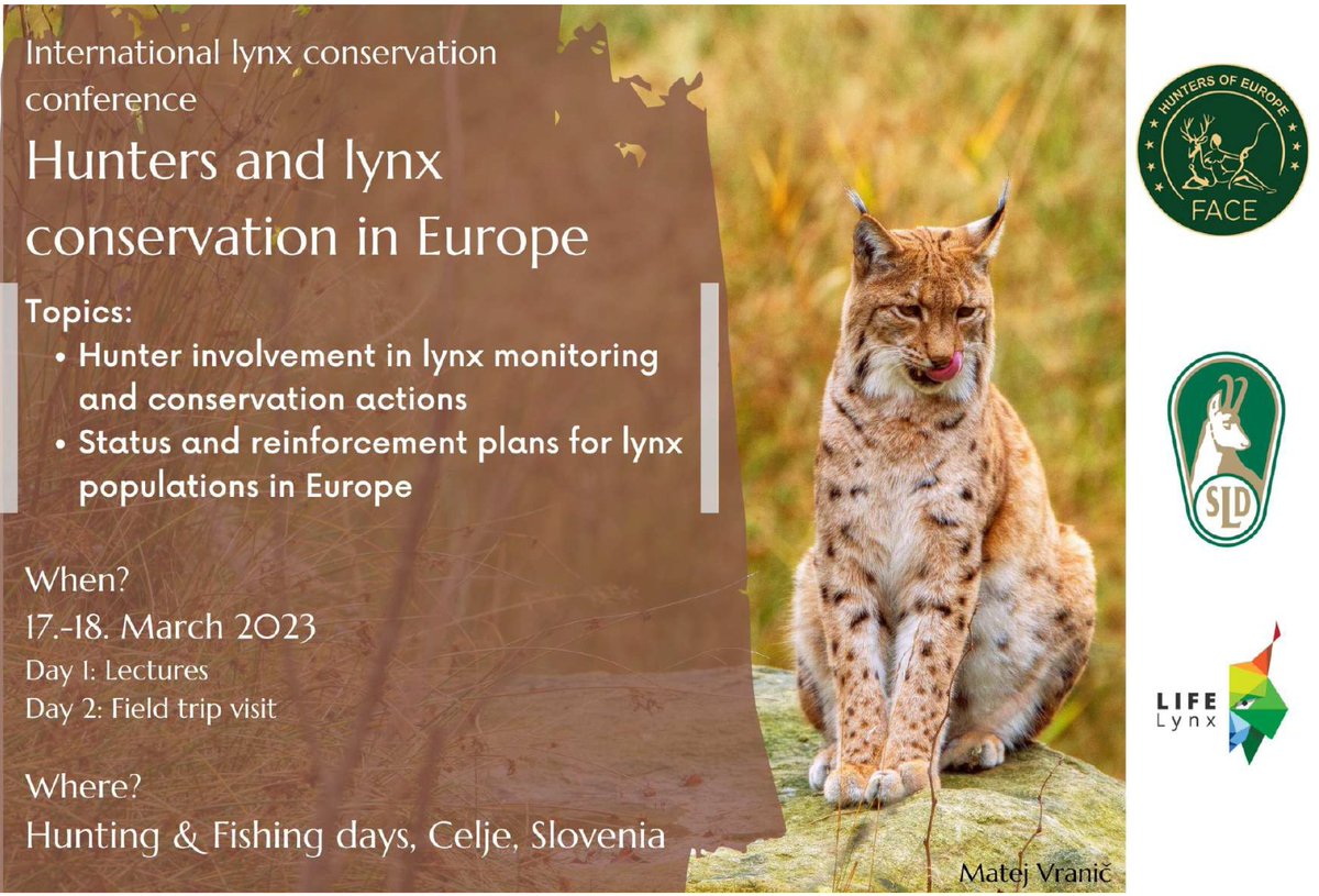 I'll be spending St. Patrick's Day talking about Lynx conservation, which is a bit bizarre for an Irish man... #LIFEproject #LIFElynx