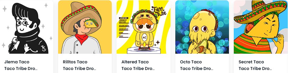 primecraze's tweet photo. oh hello @TacoTribeNFTs !! loving these air drops!
#tacotribeNFT #tacodrops #polygon https://t.co/GaCIZhZsc5