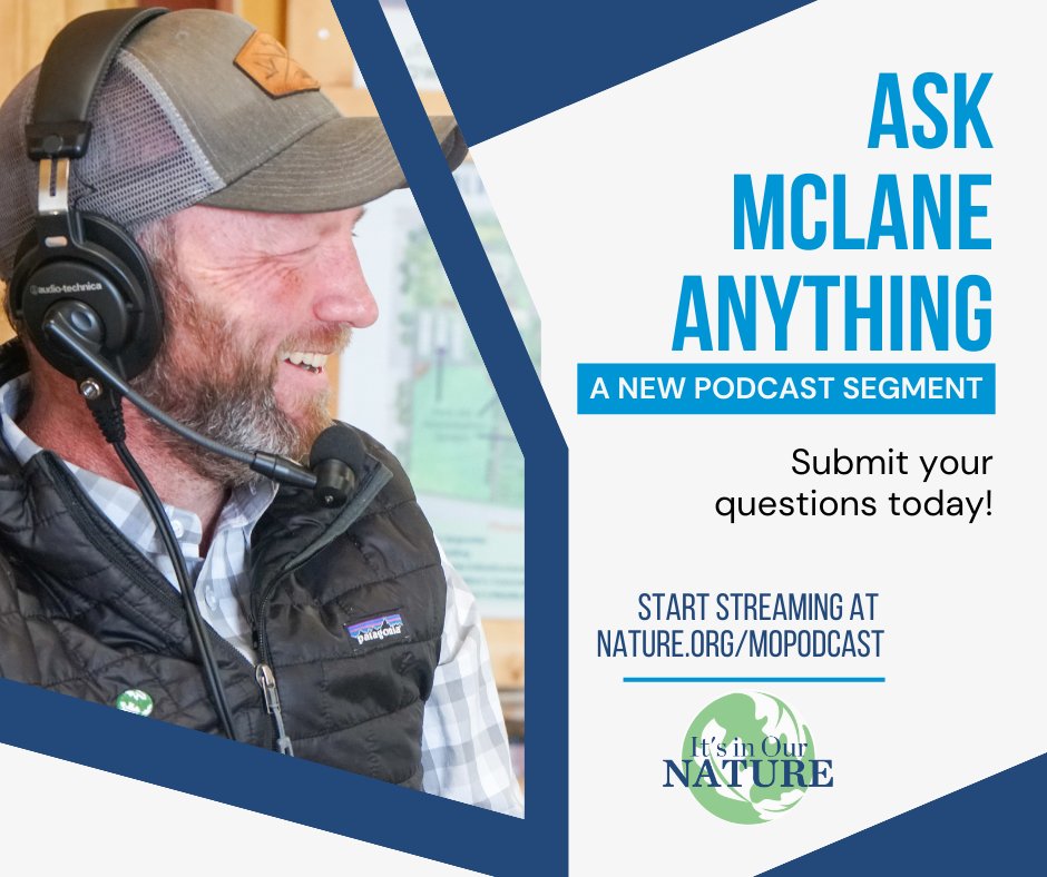 We are adding a new segment to our podcast (nature.org/mopodcast)!

"Ask McLane Anything", gives you the opportunity to ask Missouri State Director Adam McLane all your nature questions.  You can submit your questions here ▶ bit.ly/3FqAGxR

#podcast #nature #missouri