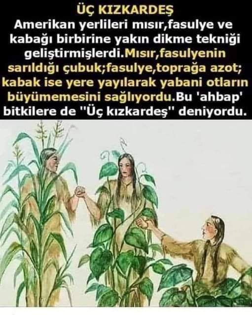 Kibar Yıldız (@kibaryldz4) on Twitter photo 