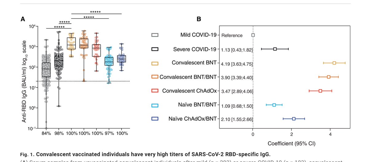 Aktuelle Langzeit-Science-Studie (6 Monate), die zeigt, dass Hybridimmunität (Infx +Vacc) zu besserer humoraler als auch (mukosaler) zellulärer Immunität führt als only Infx und only Vacc. Geringste IgG-Titer für nur Infizierte < VACC < Infx +Vacc.
science.org/doi/10.1126/sc…