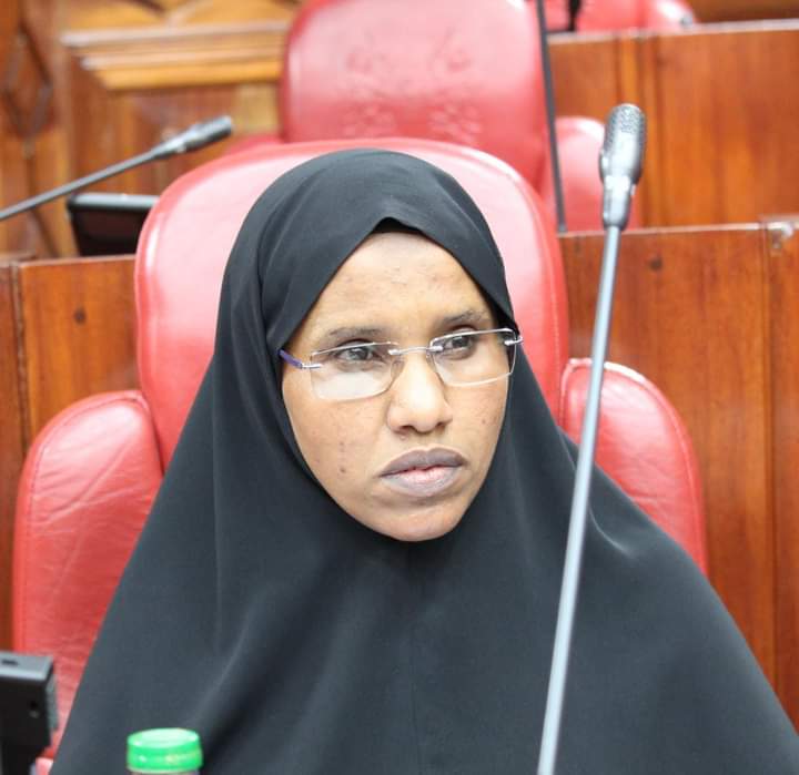 SenMariamOmar's tweet photo. Today, the Senate Lands Committee & @NAssemblyKE Dept. Committee on Environment recommend approval of 3 nominees as members of National Climate Change Council. #ClimateChangeCouncil #ParliamentaryApprovalAct #Environment #climatechange #Kenya @Senate_KE https://t.co/q0NUiOciz8
