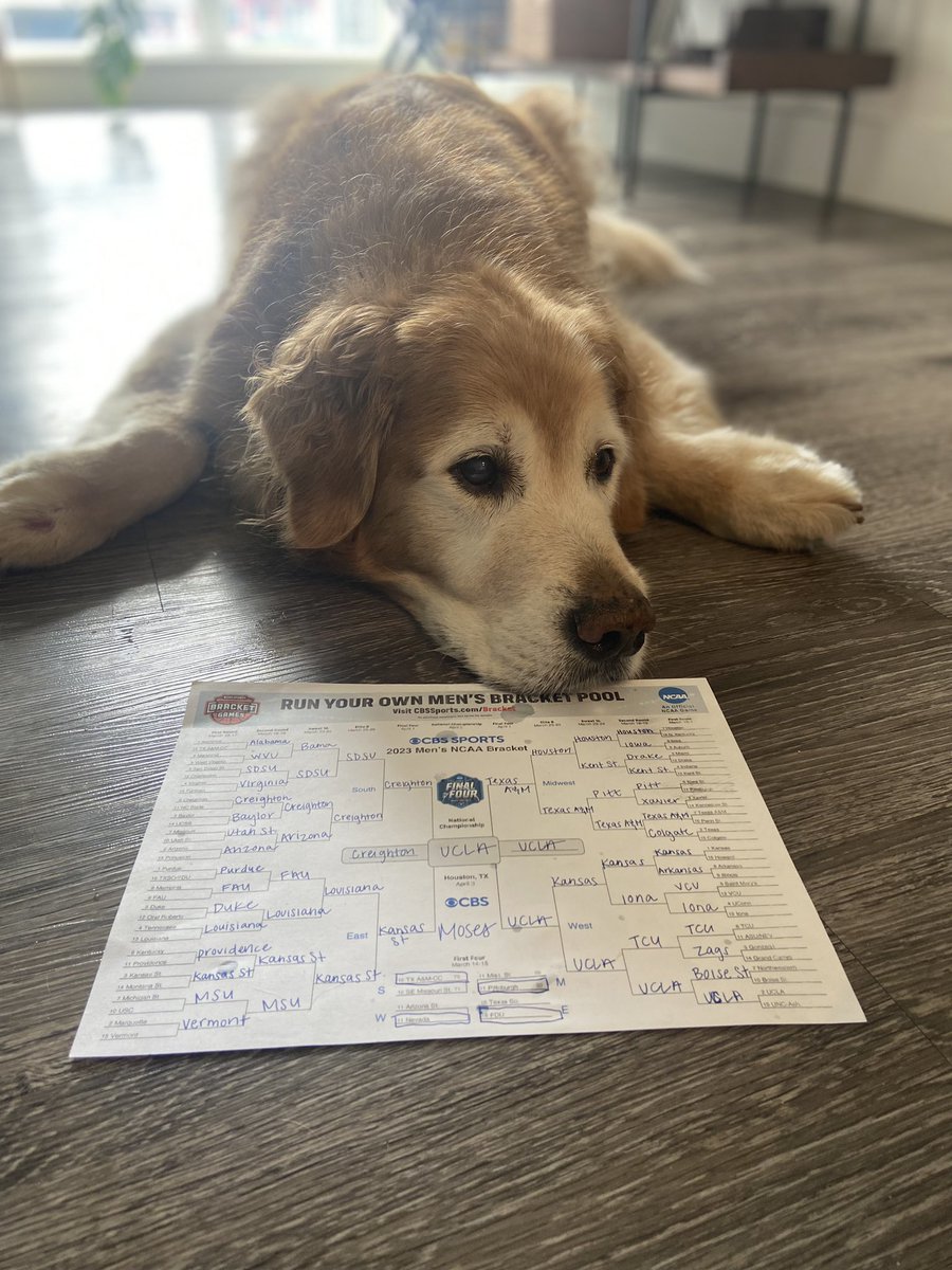 clubtrillion's tweet photo. 🚨The 11th annual Moses Bracket has officially been completed (slobber included)🚨

Louisiana is his pick for the Cinderella run, but he's also drinking the Vermont and Colgate Kool-Aid

Final Four:

Creighton
Kansas State
Texas A&amp;M
UCLA

UCLA over Creighton for the title https://t.co/xWNoZ2cVzH