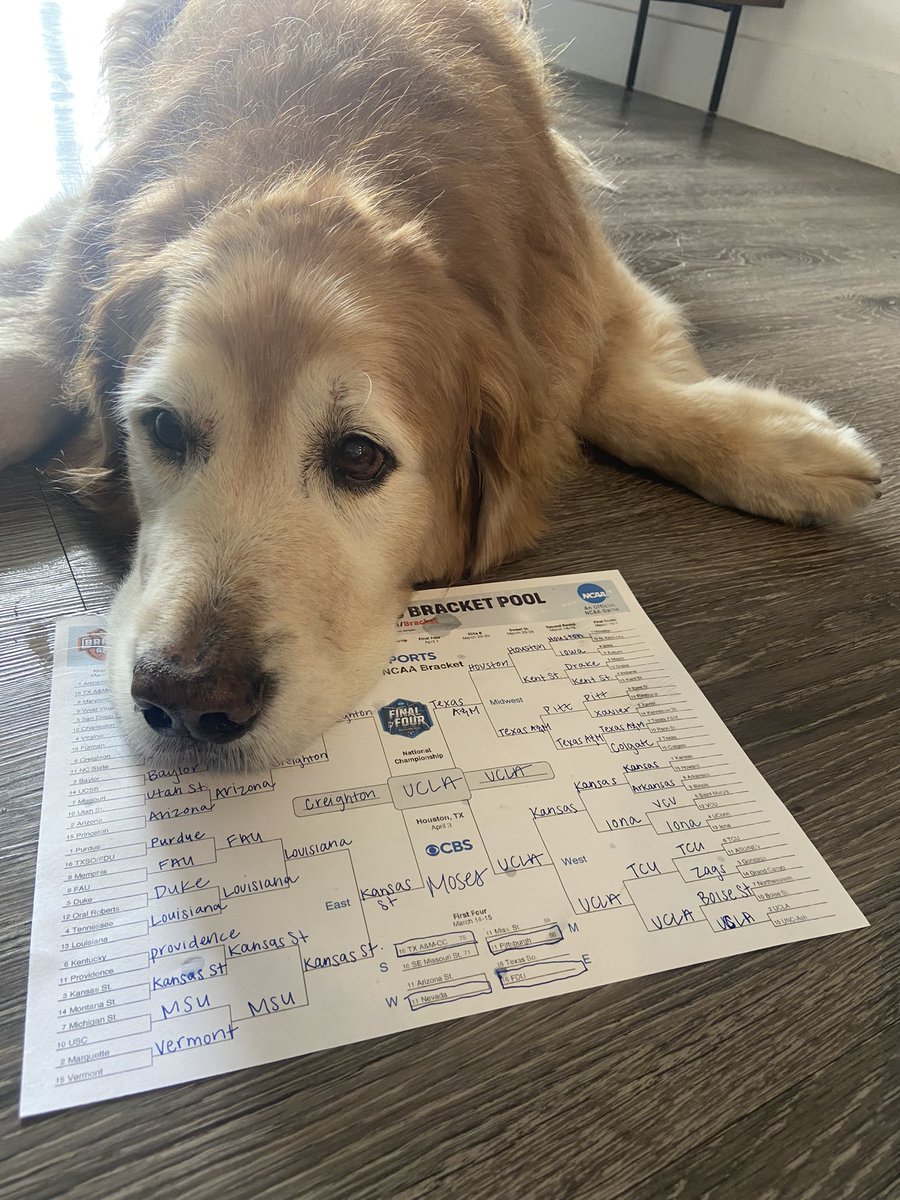 clubtrillion's tweet photo. 🚨The 11th annual Moses Bracket has officially been completed (slobber included)🚨

Louisiana is his pick for the Cinderella run, but he's also drinking the Vermont and Colgate Kool-Aid

Final Four:

Creighton
Kansas State
Texas A&amp;M
UCLA

UCLA over Creighton for the title https://t.co/xWNoZ2cVzH